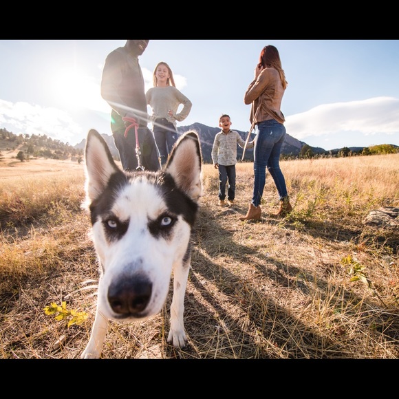 Meet your Posher, Mackenzie - Picture 3 of 4